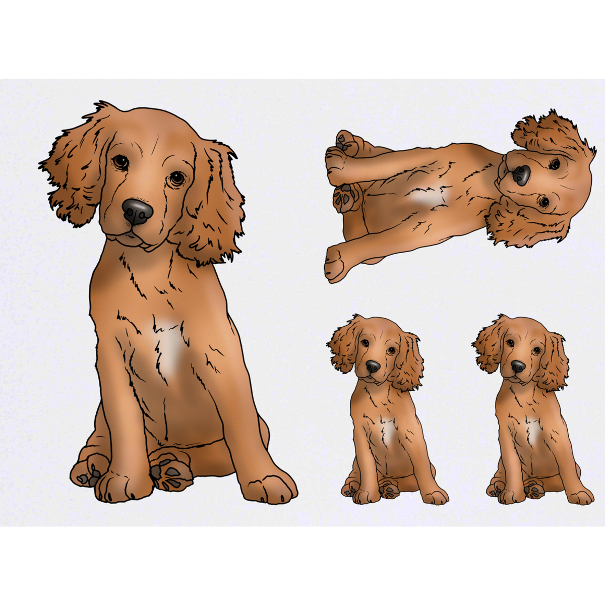 'Cocker Spaniel Puppy' Temporary Tattoos -  Water Resistant, Skin-Safe, Non-Toxic Transfers (TO036246)