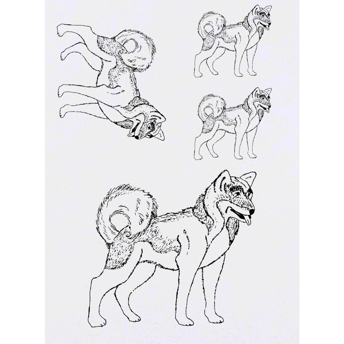 'Japanese Akita' Temporary Tattoos -  Water Resistant, Skin-Safe, Non-Toxic Transfers (TO036486)