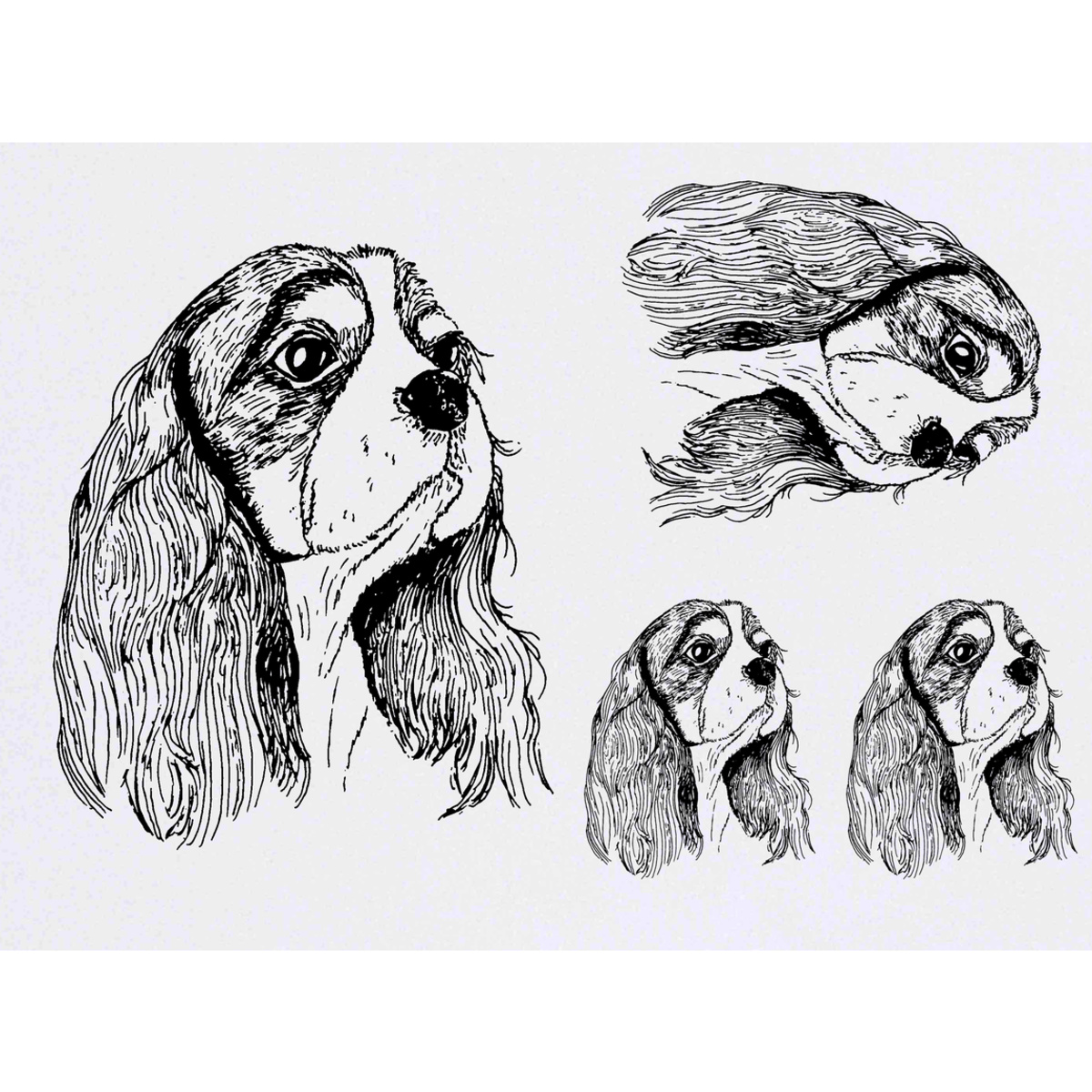 'Cavalier King Charles Head' Temporary Tattoos -  Water Resistant, Skin-Safe, Non-Toxic Transfers (TO036488)