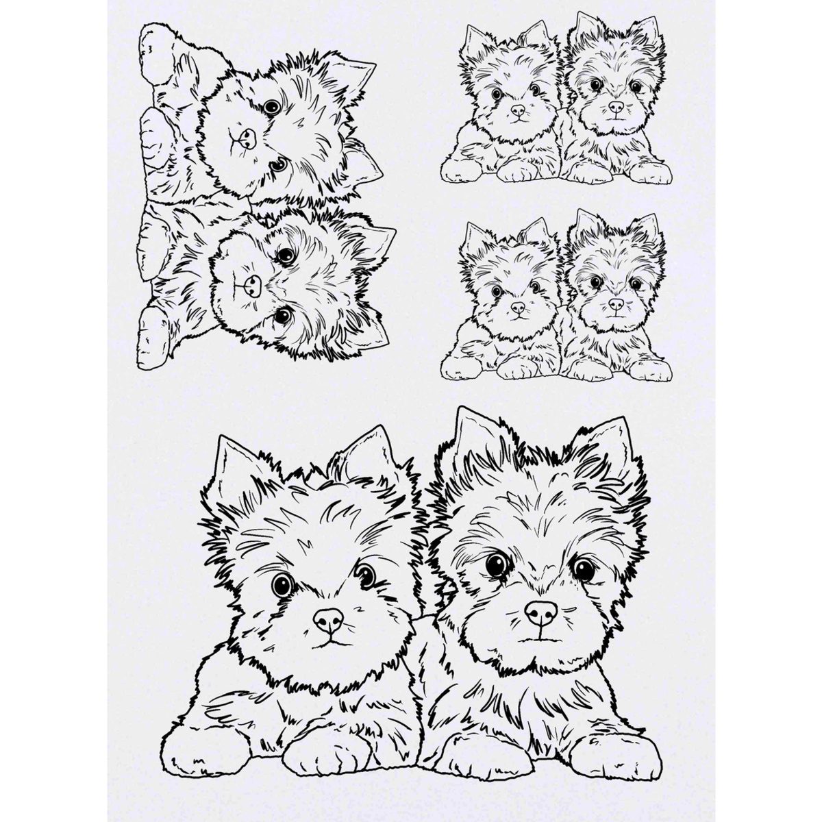 'Yorkie Puppies' Temporary Tattoos -  Water Resistant, Skin-Safe, Non-Toxic Transfers (TO037352)