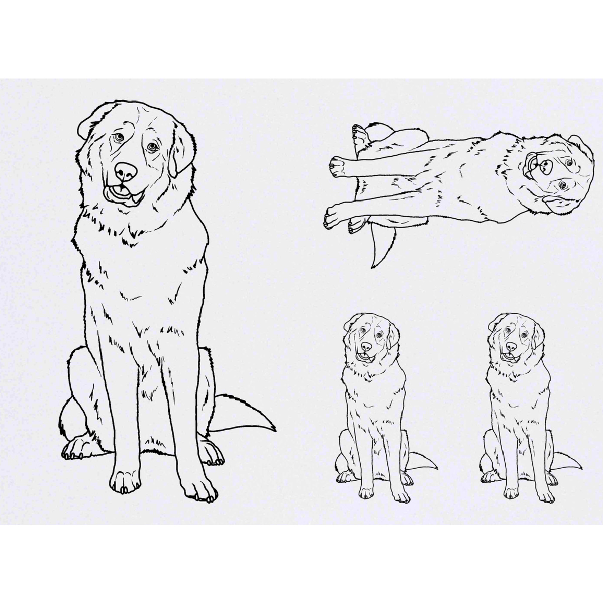 'Pyrenean Mountain Dog' Temporary Tattoos -  Water Resistant, Skin-Safe, Non-Toxic Transfers (TO037367)