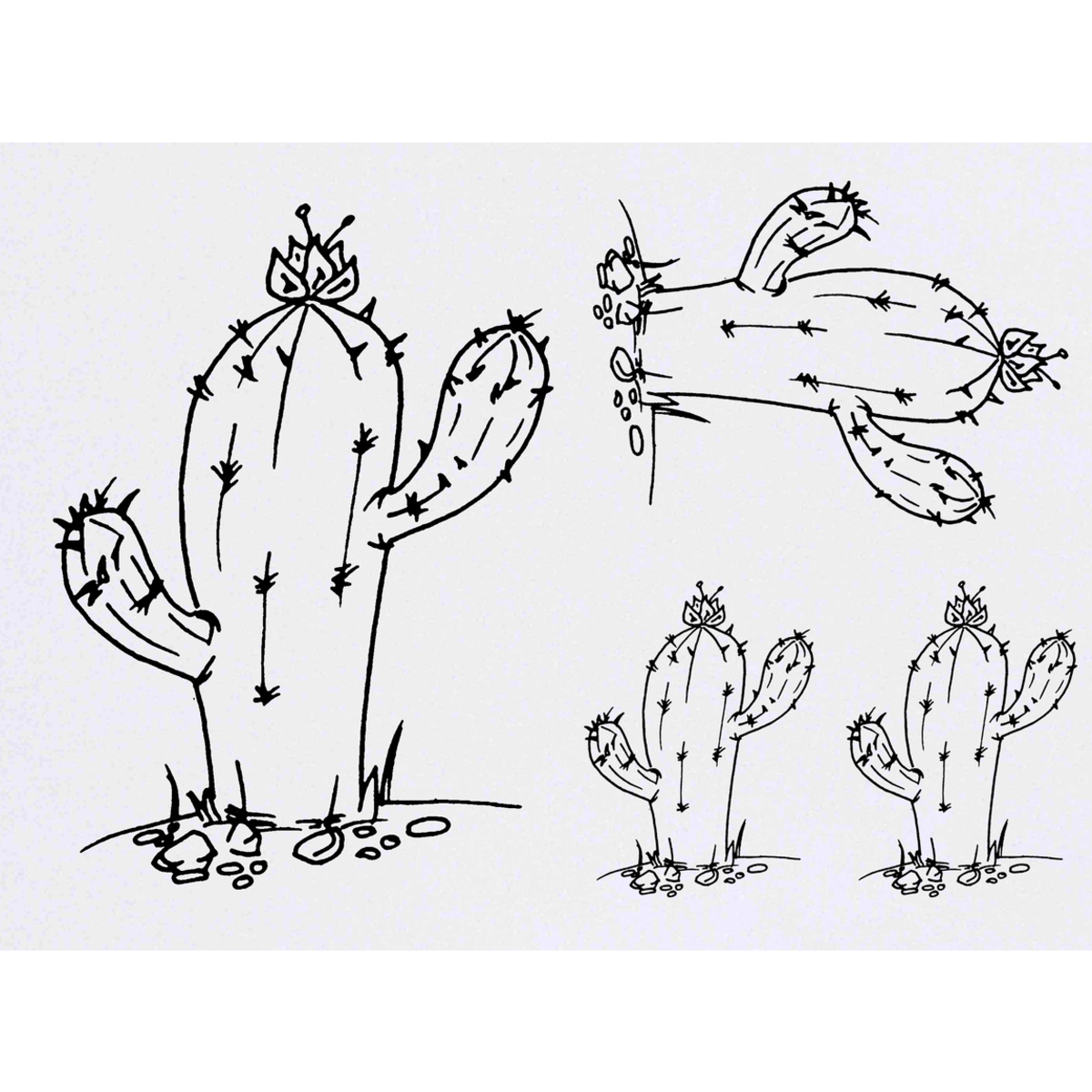 'Cactus With Flower' Temporary Tattoos -  Water Resistant, Skin-Safe, Non-Toxic Transfers (TO037848)