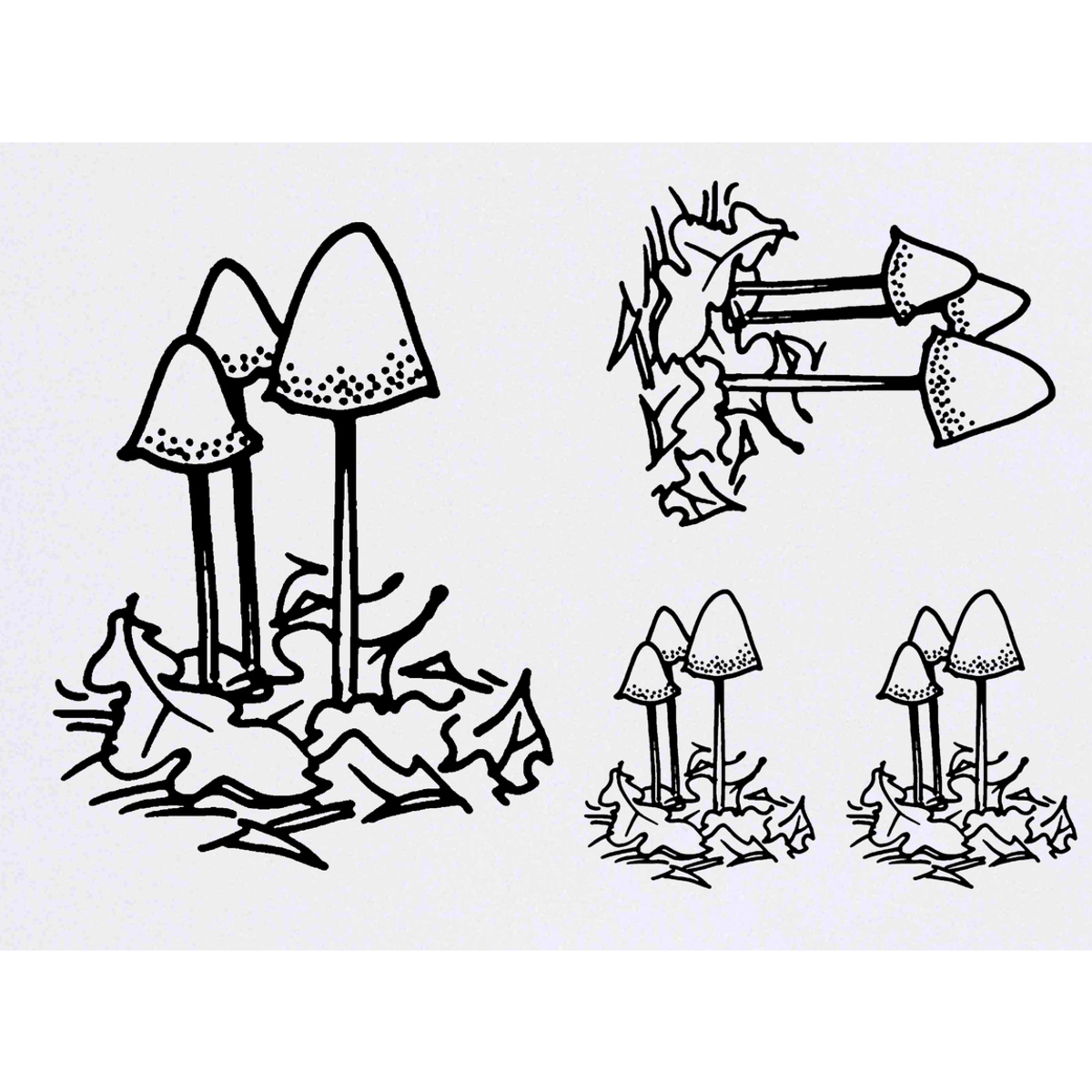 'Mushrooms' Temporary Tattoos -  Water Resistant, Skin-Safe, Non-Toxic Transfers (TO037853)