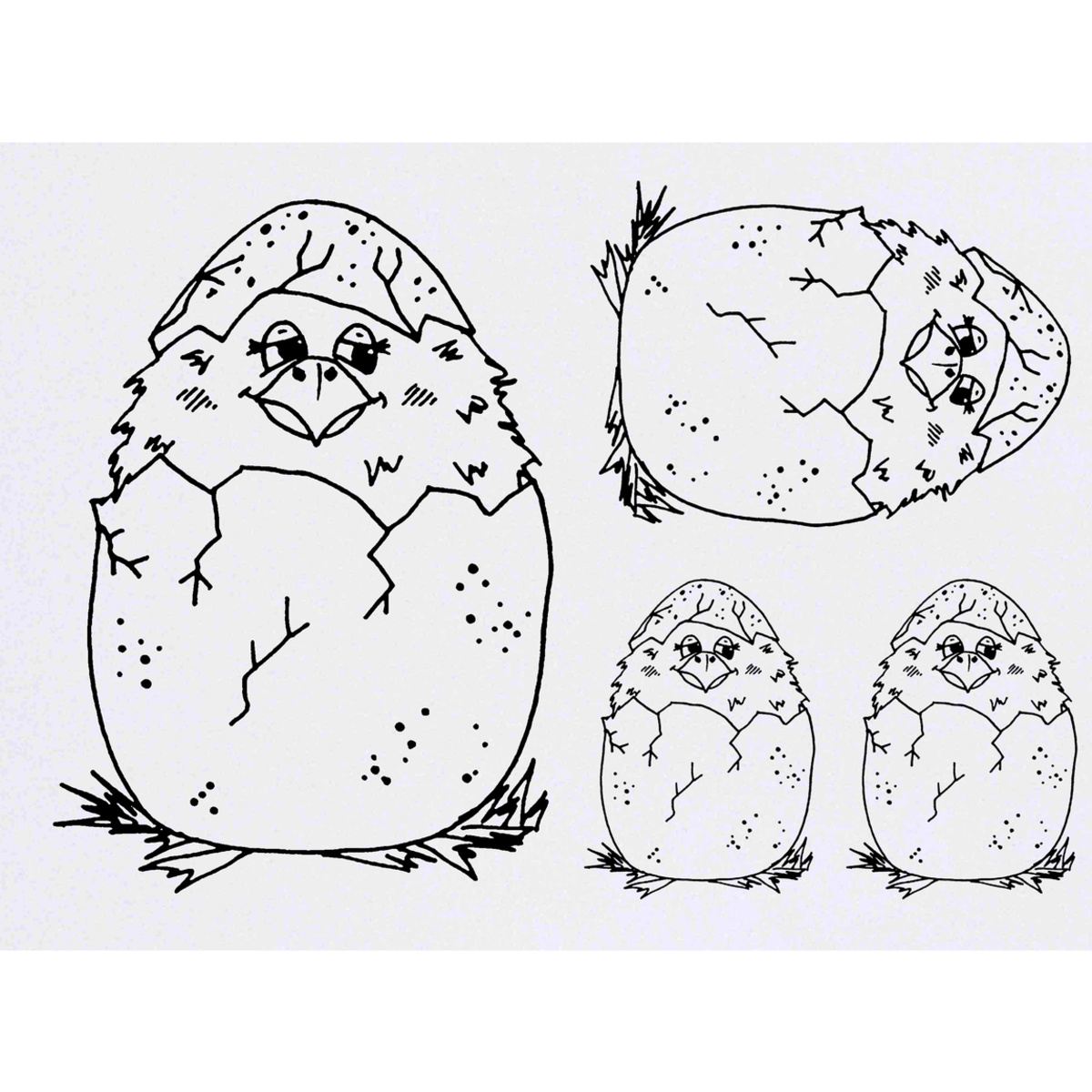 'Chick Hatching' Temporary Tattoos -  Water Resistant, Skin-Safe, Non-Toxic Transfers (TO037890)