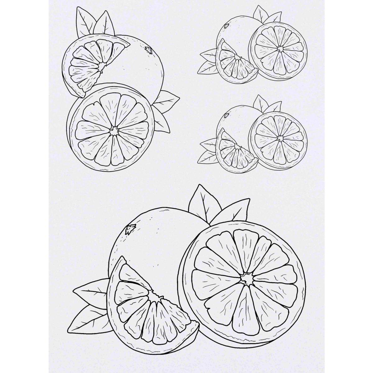 'Grapefruit' Temporary Tattoos -  Water Resistant, Skin-Safe, Non-Toxic Transfers (TO038084)