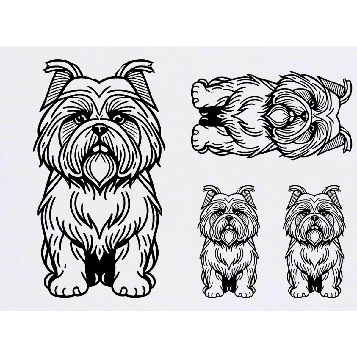 'Lhasa Apso Dog' Temporary Tattoos -  Water Resistant, Skin-Safe, Non-Toxic Transfers (TO044143)