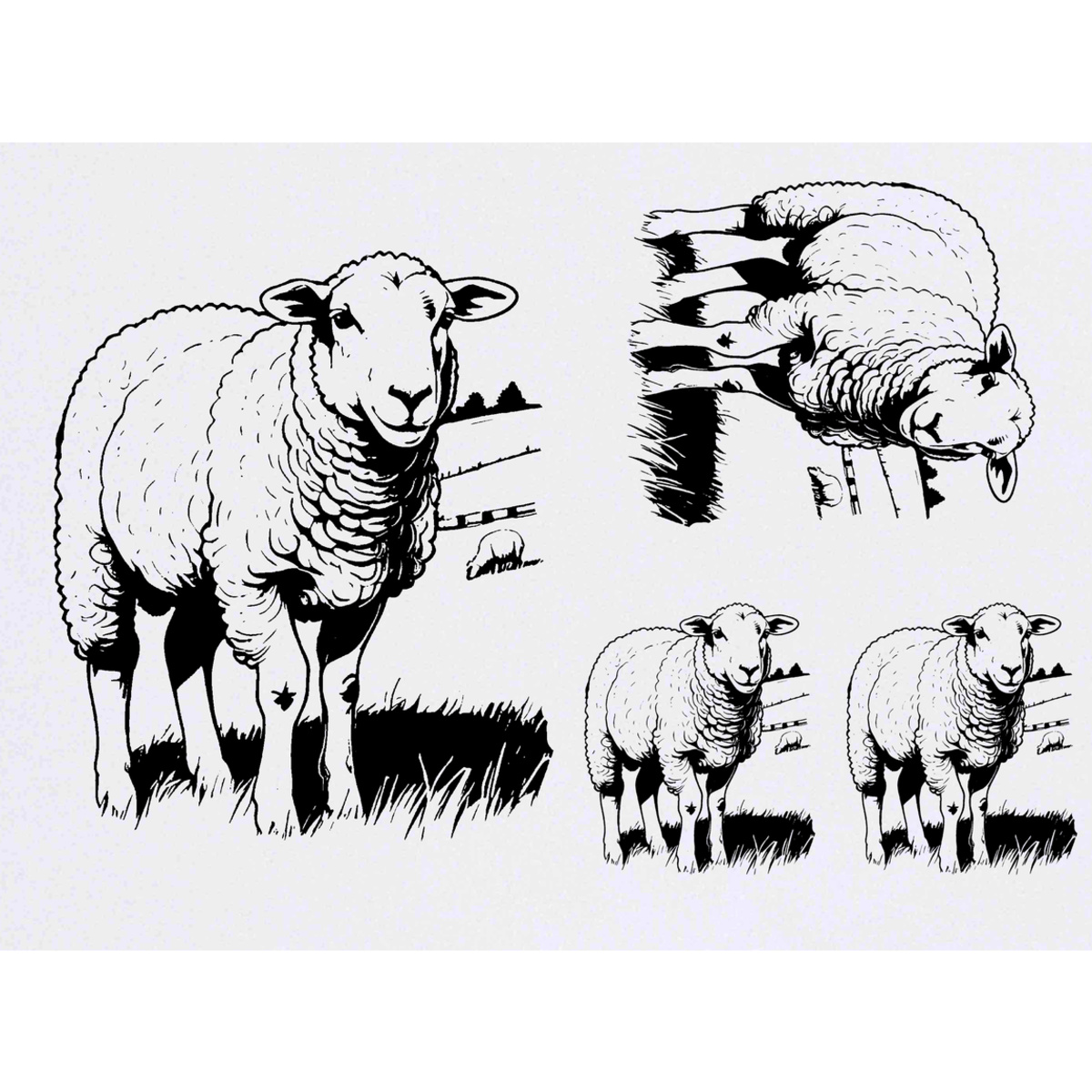 'Sheep Grazing In A Pasture' Temporary Tattoos -  Water Resistant, Skin-Safe, Non-Toxic Transfers (TO045113)