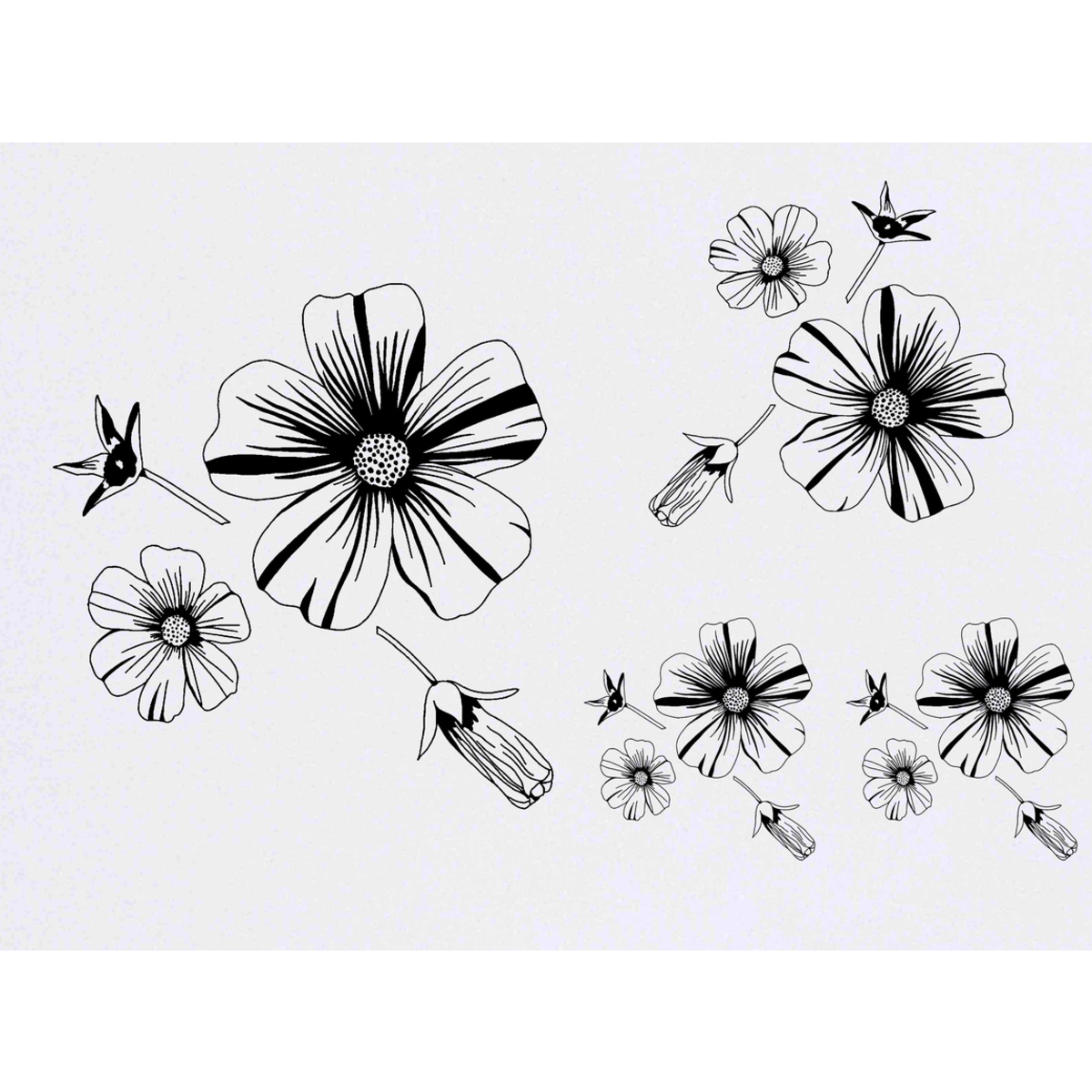 'Flower Heads & Seed Pod' Temporary Tattoos -  Water Resistant, Skin-Safe, Non-Toxic Transfers (TO045272)