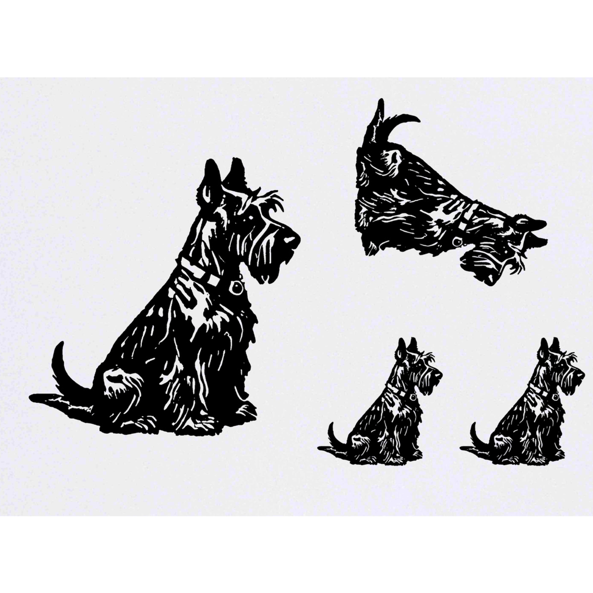 'Scottish Terrier Sitting' Temporary Tattoos -  Water Resistant, Skin-Safe, Non-Toxic Transfers (TO046126)