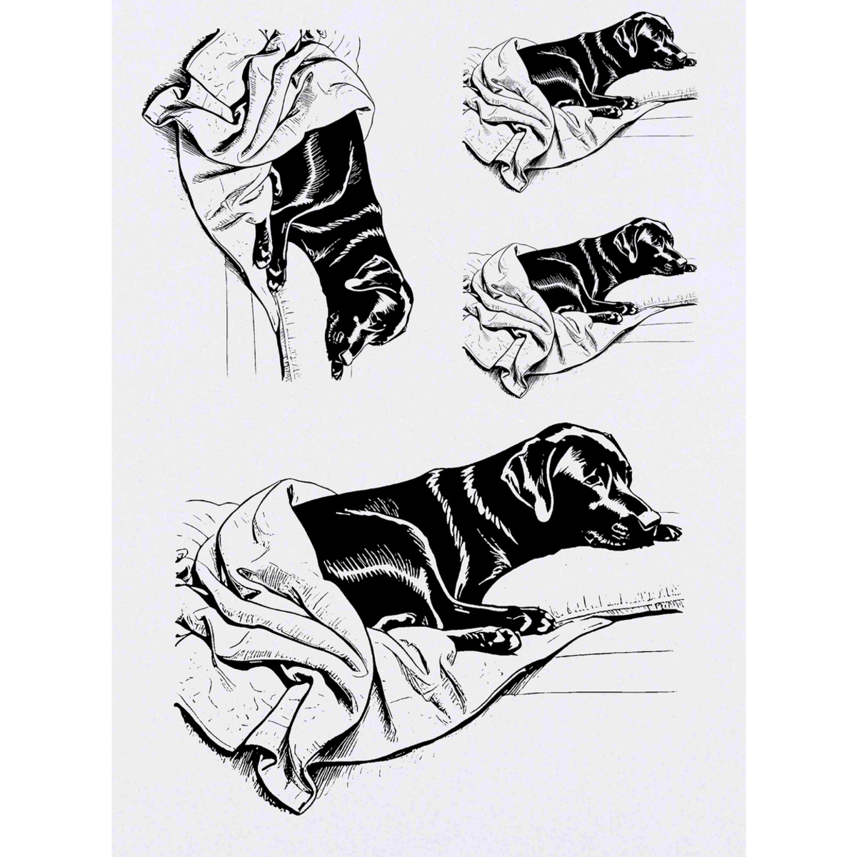 'Black Labrador Retriever' Temporary Tattoos -  Water Resistant, Skin-Safe, Non-Toxic Transfers (TO046175)