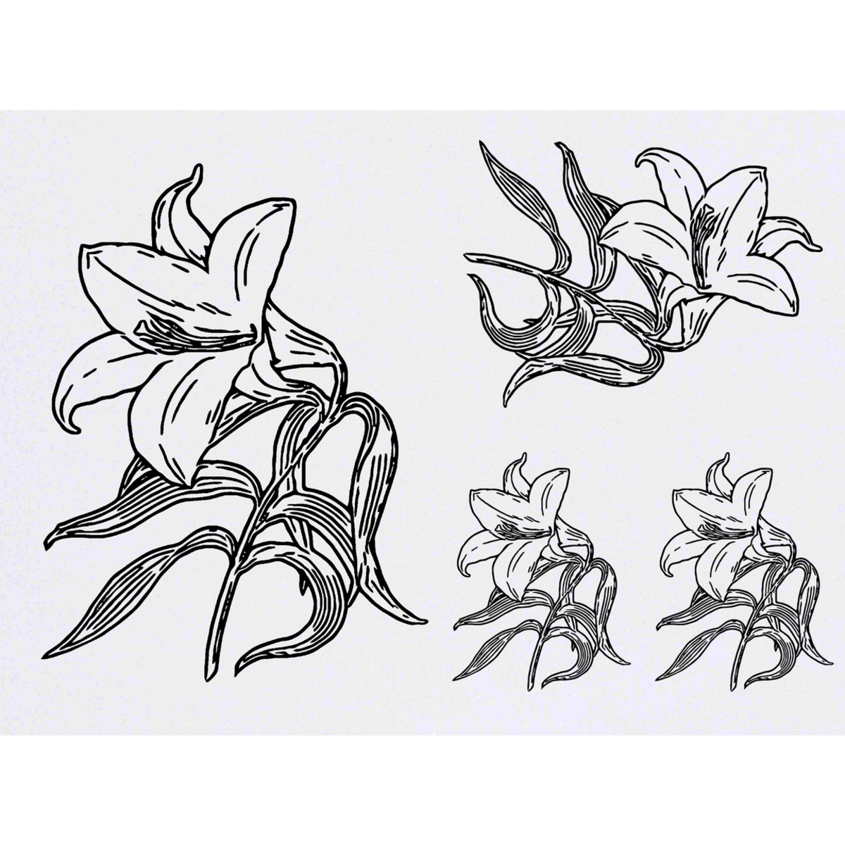 'White Lily Flower' Temporary Tattoos -  Water Resistant, Skin-Safe, Non-Toxic Transfers (TO046799)