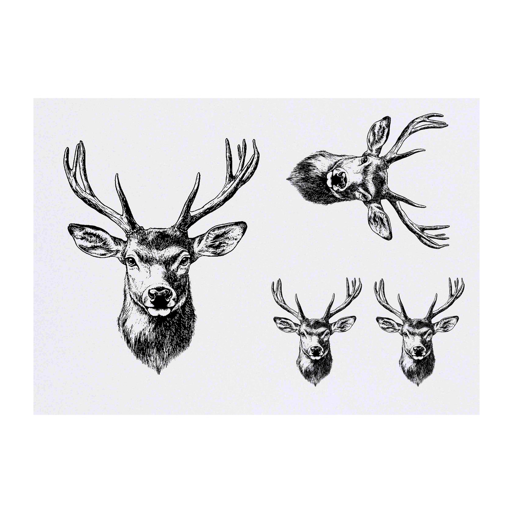'Red Deer Stag' Temporary Tattoos - Water Resistant, Skin-Safe, Non-Toxic Transfers (TO049387)