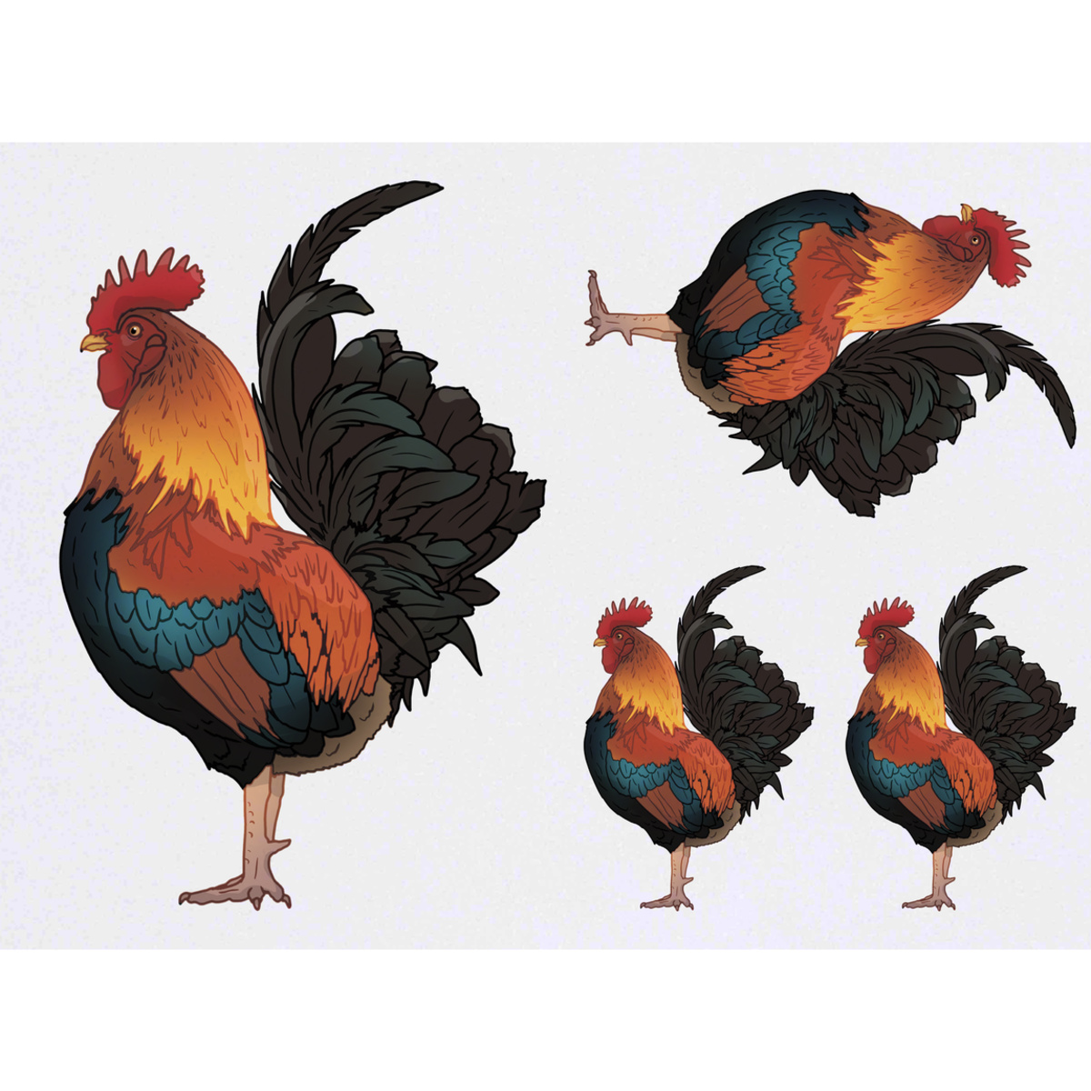 'Proud Rooster' Temporary Tattoos -  Water Resistant, Skin-Safe, Non-Toxic Transfers (TO050828)