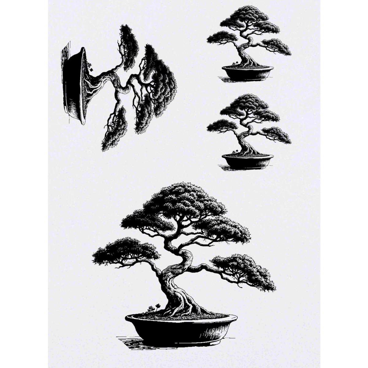 'Bonsai Tree in Pot' Temporary Tattoos -  Water Resistant, Skin-Safe, Non-Toxic Transfers (TO050886)