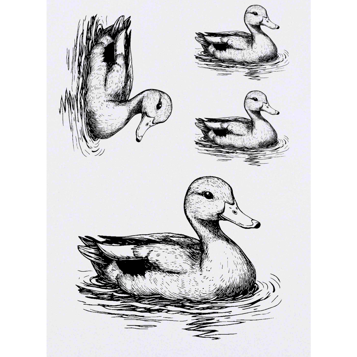 'Swimming Duck' Temporary Tattoo Transfers - Water Resistant Skin Safe Designs for Parties, Costumes and Gifts (TO051490)