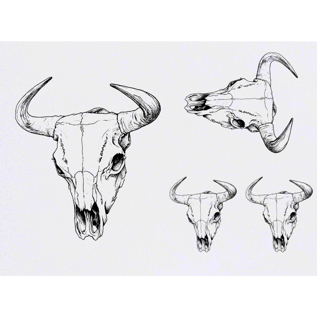 'Cow Skull' Temporary Tattoos -  Water Resistant, Skin-Safe, Non-Toxic Transfers (TO052023)