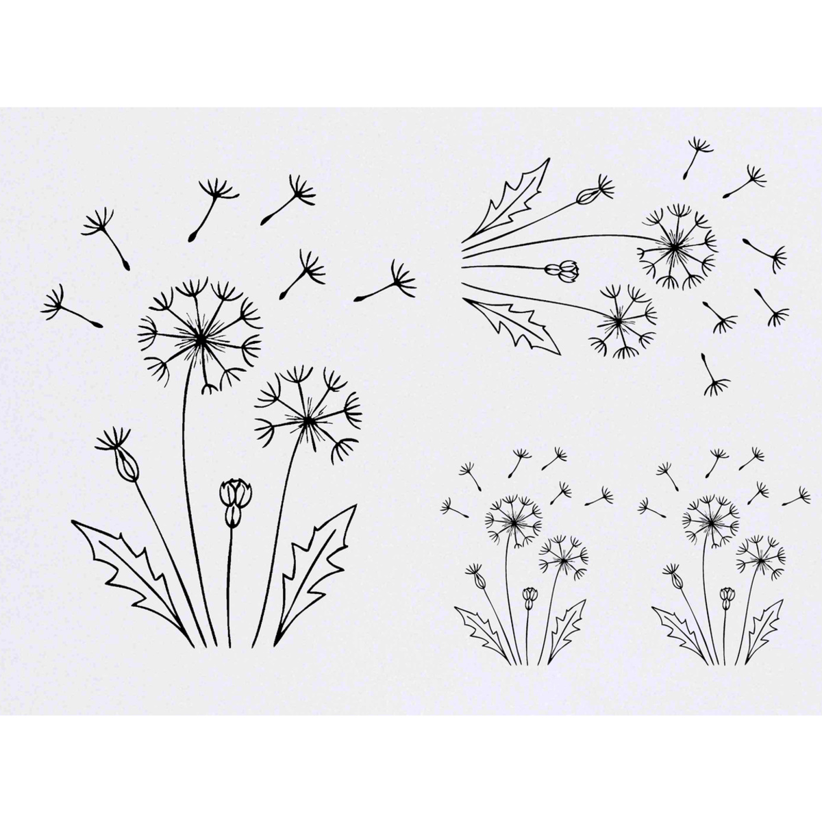 'Dandelion' Temporary Tattoos -  Water Resistant, Skin-Safe, Non-Toxic Transfers (TO053853)