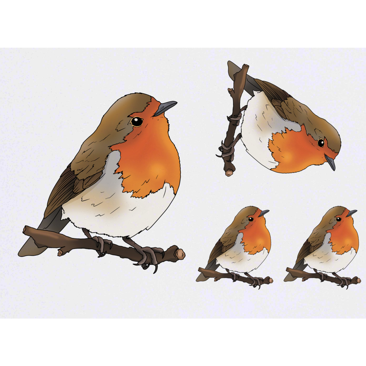 'Perched Robin Bird' Temporary Tattoos -  Water Resistant, Skin-Safe, Non-Toxic Transfers (TO054543)