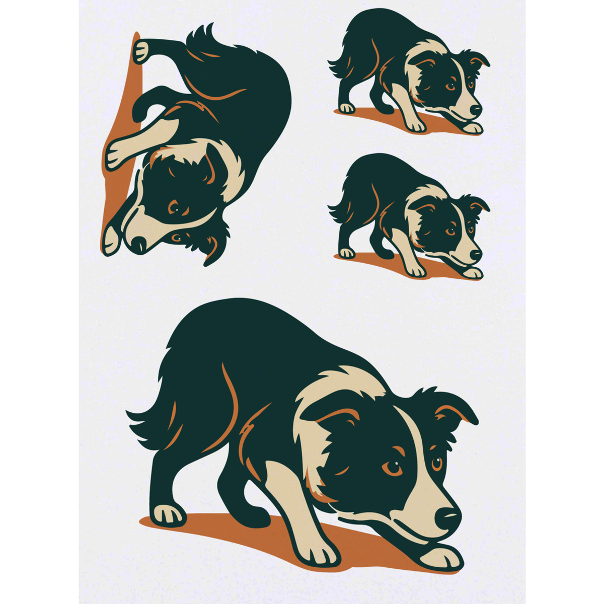 'Crouching Border Collie' Temporary Tattoos -  Water Resistant, Skin-Safe, Non-Toxic Transfers (TO055236)