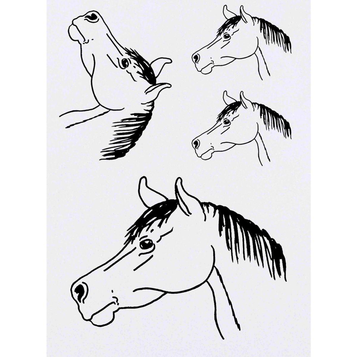 'Horse Head' Temporary Tattoos -  Water Resistant, Skin-Safe, Non-Toxic Transfers (TO056319)