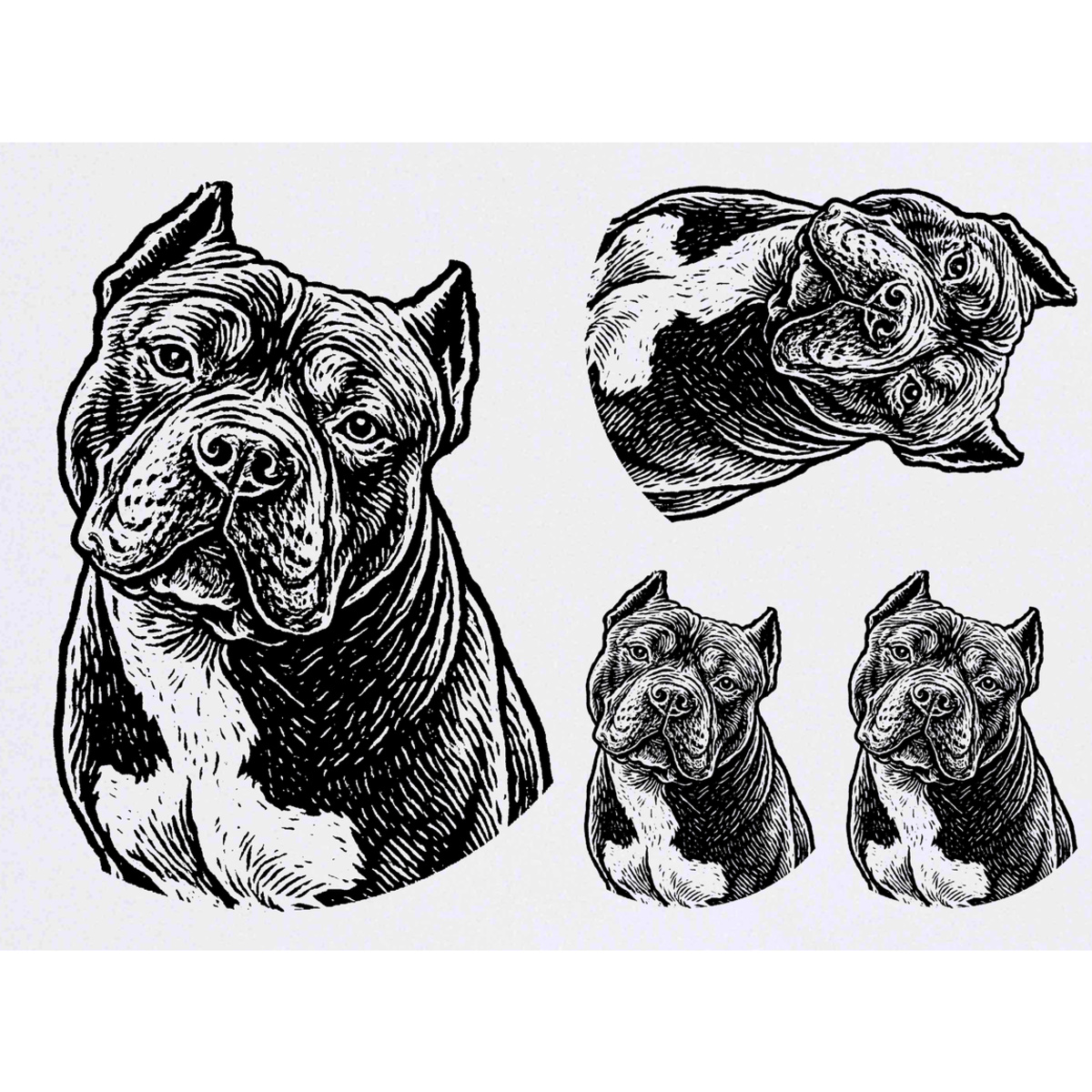 'American Bully Dog Portrait' Temporary Tattoos -  Water Resistant, Skin-Safe, Non-Toxic Transfers (TO058126)