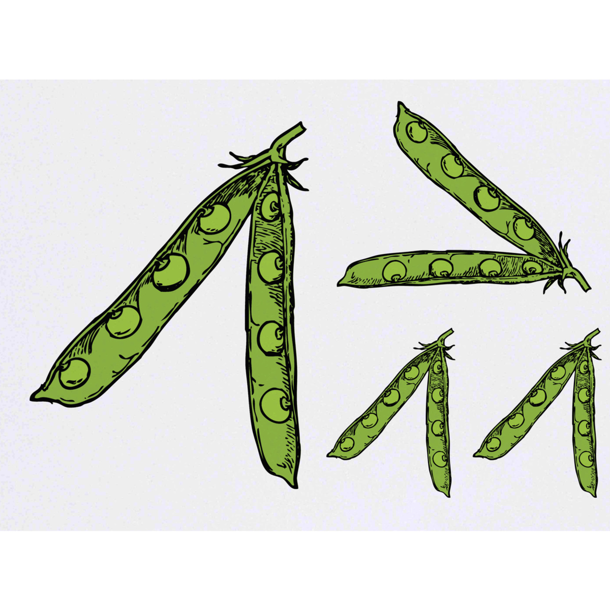 'Peas and Pod' Temporary Tattoos -  Water Resistant, Skin-Safe, Non-Toxic Transfers (TO058487)
