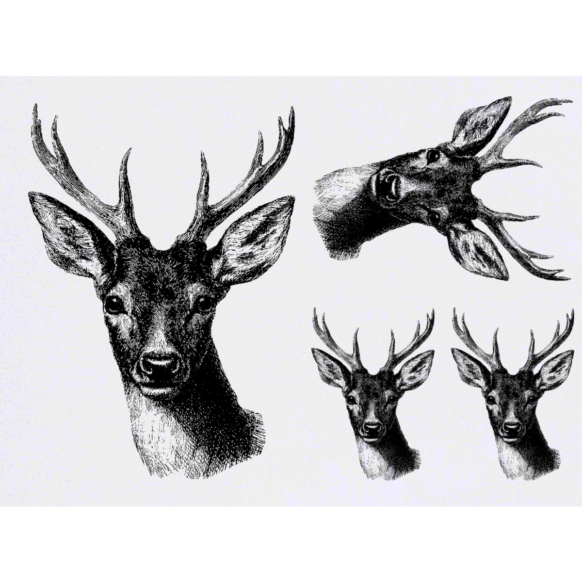 'Red Deer Portrait' Temporary Tattoo Transfers - Water Resistant Skin Safe Designs for Parties, Costumes and Gifts (TO058831)