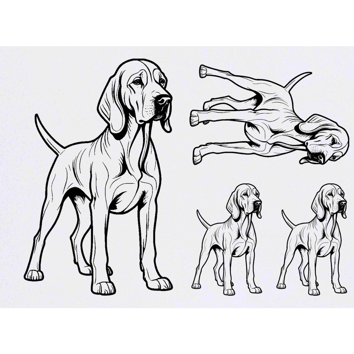 4 x 'Bloodhound Dog' Temporary Tattoos -  Water Resistant, Skin-Safe, Non-Toxic Transfers, Mixed Sizes (TO00097648)