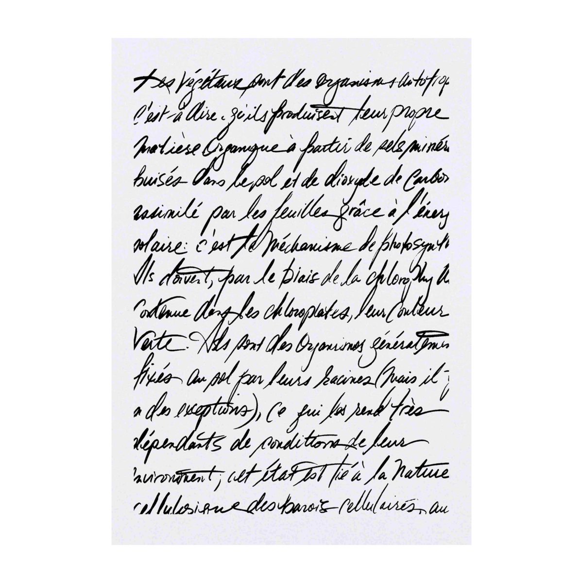 'Botanical Script' Temporary Tattoo -  Water Resistant, Skin-Safe, Non-Toxic Transfer (TO00020396)