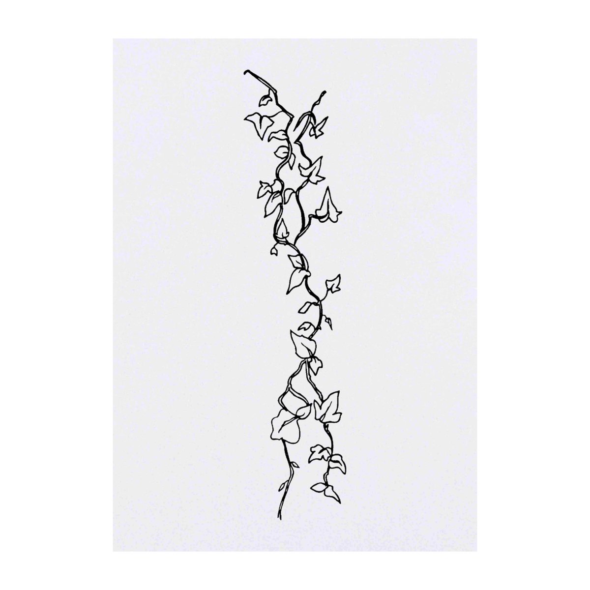 'Ivy Vines' Temporary Tattoo -  Water Resistant, Skin-Safe, Non-Toxic Transfer (TO00021043)