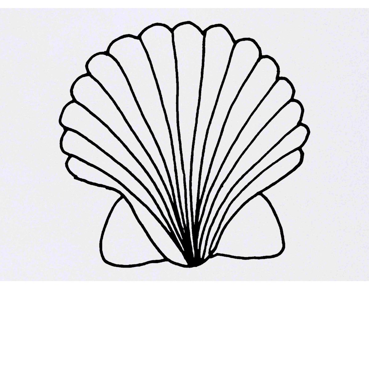 'Scallop Shell' Temporary Tattoo -  Water Resistant, Skin-Safe, Non-Toxic Transfer (TO00021497)
