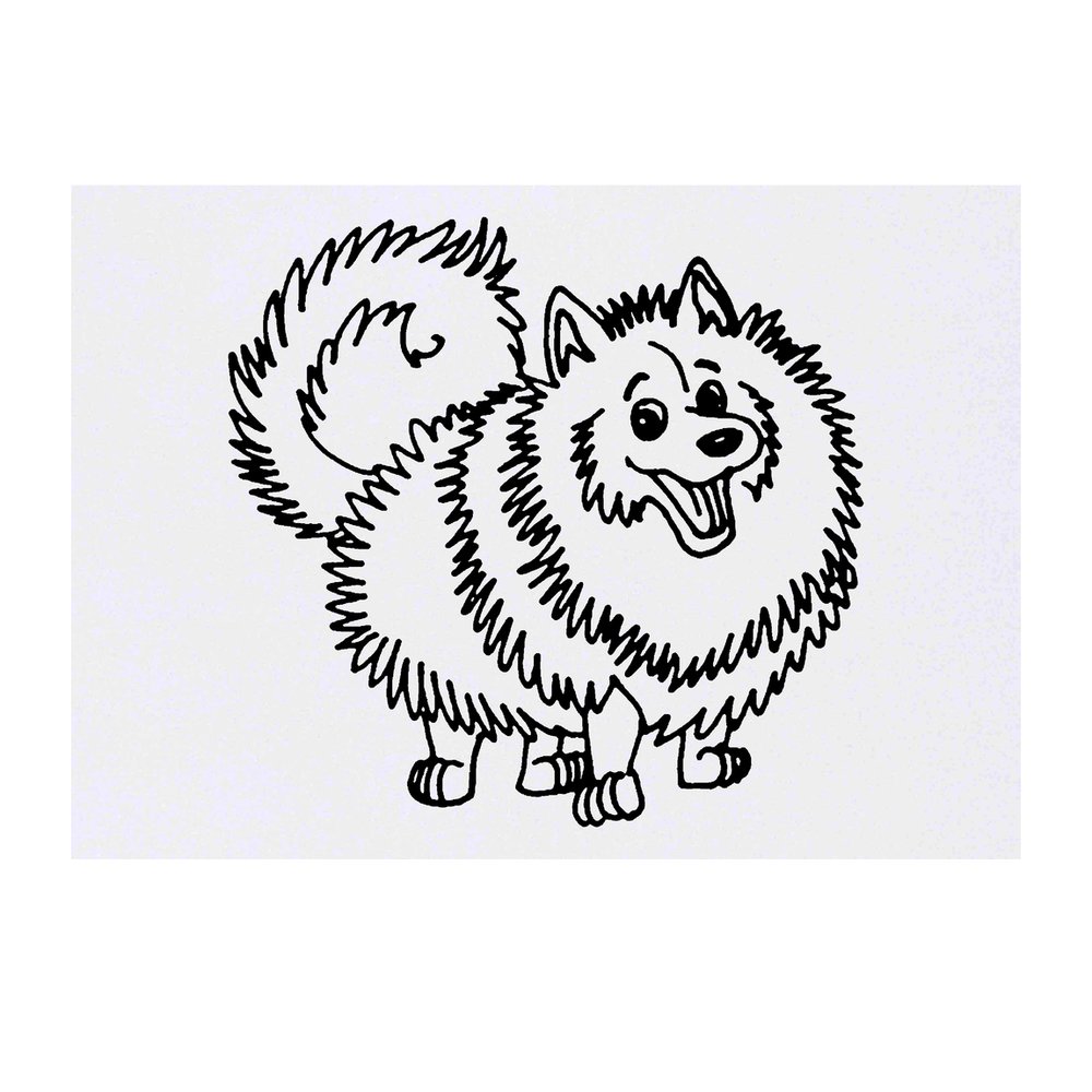 'Pomeranian Dog' Temporary Tattoo - Water Resistant, Skin-Safe, Non-Toxic Transfer (TO00022330)