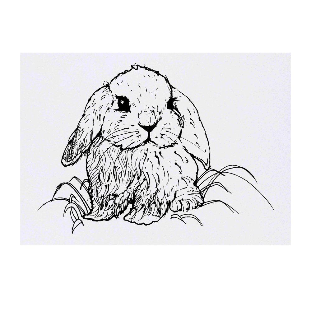 'Cute Bunny Rabbit' Temporary Tattoo - Water Resistant, Skin-Safe, Non-Toxic Transfer (TO00022716)