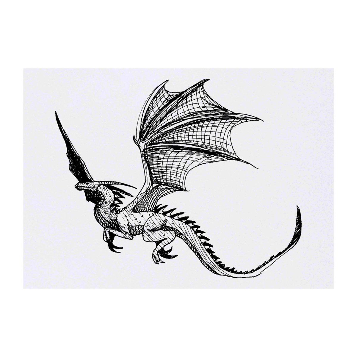 'Flying Dragon' Temporary Tattoo - A6 - Water Resistant Skin Safe Transfer for Parties, Costumes and Gifts (TO00023818)