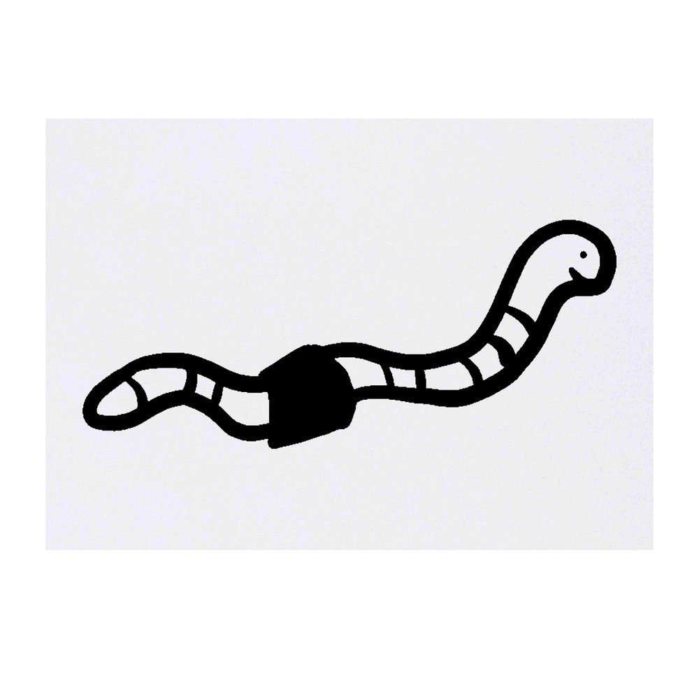 'Earth Worm' Temporary Tattoo - Water Resistant, Skin-Safe, Non-Toxic Transfer (TO00026523)