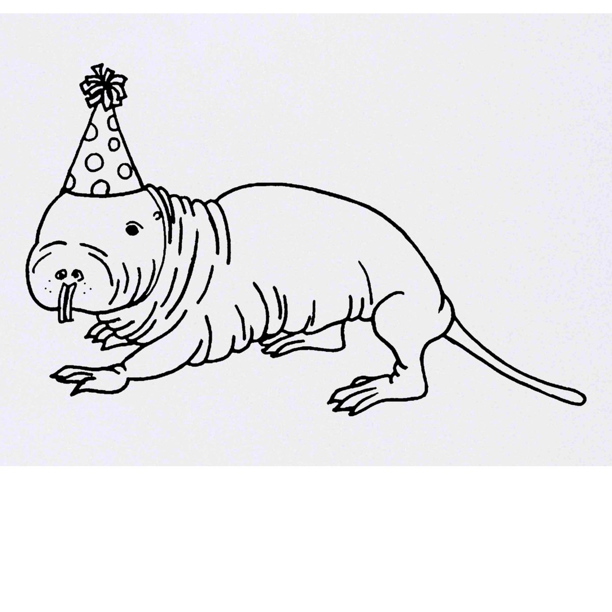 'Party Mole-rat' Temporary Tattoo -  Water Resistant, Skin-Safe, Non-Toxic Transfer (TO00029883)