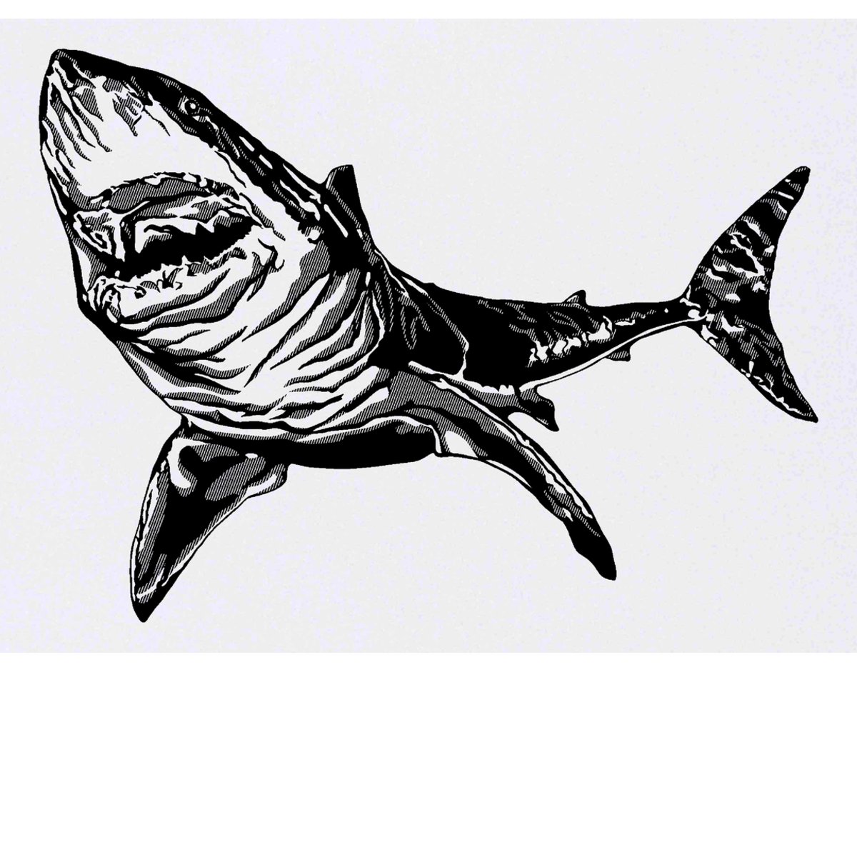 'Great White Shark' Temporary Tattoo -  Water Resistant, Skin-Safe, Non-Toxic Transfer (TO00030882)