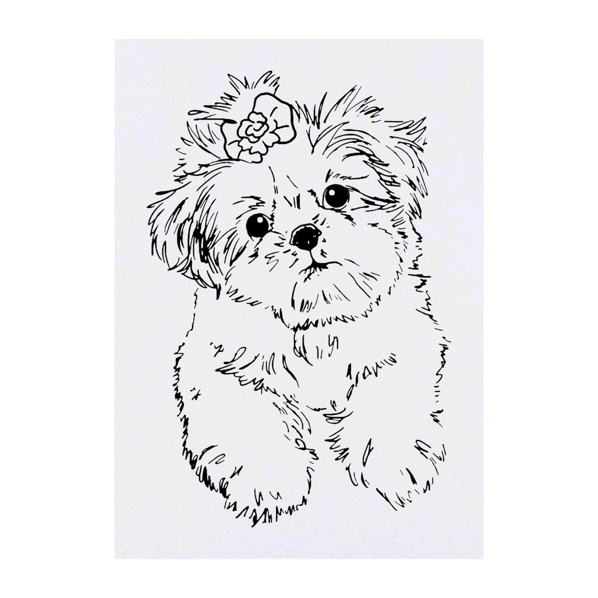 'Shih Tzu Puppy' Temporary Tattoo -  Water Resistant, Skin-Safe, Non-Toxic Transfer (TO00035800)
