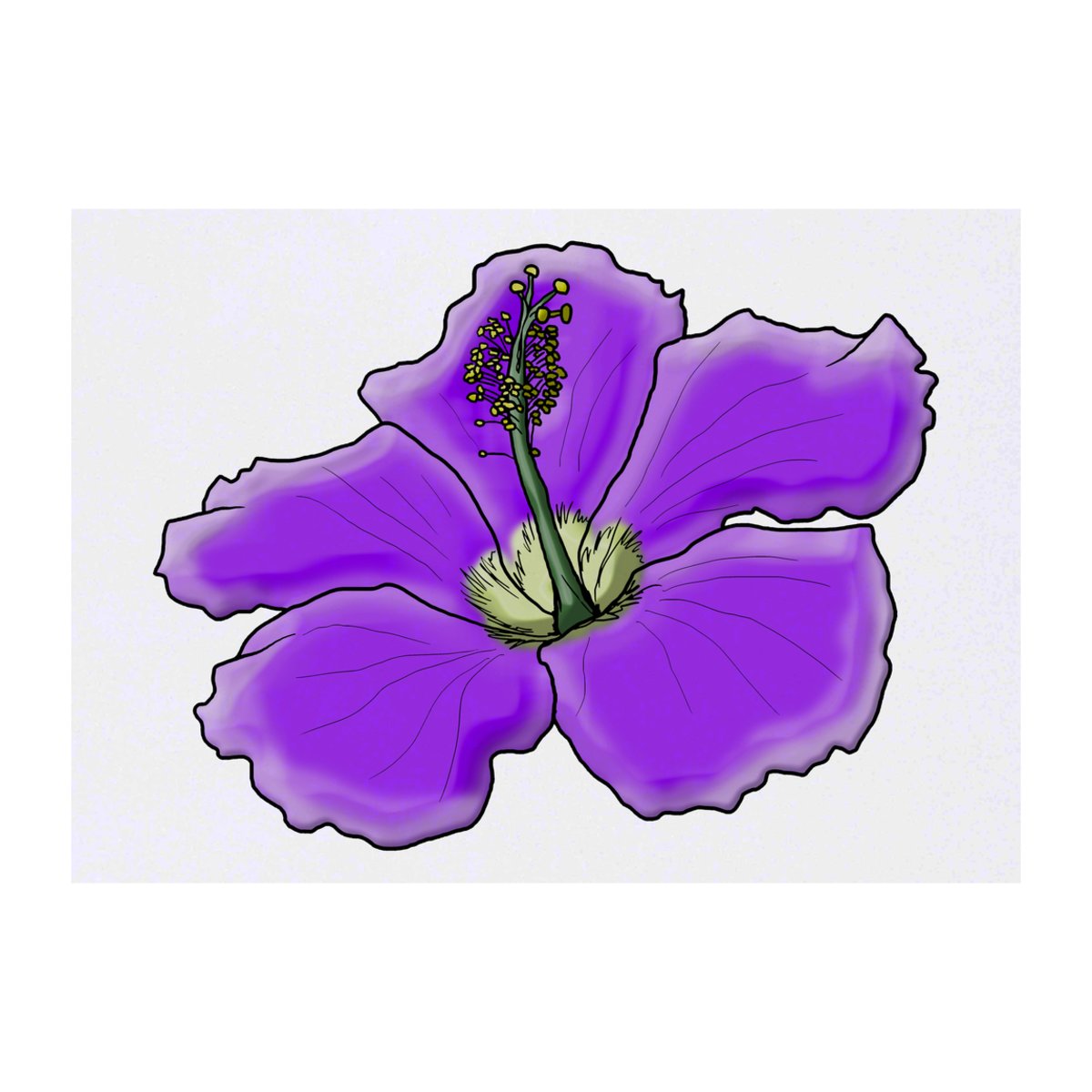 'Purple Hibiscus Flower' Temporary Tattoo -  Water Resistant, Skin-Safe, Non-Toxic Transfer (TO00040888)