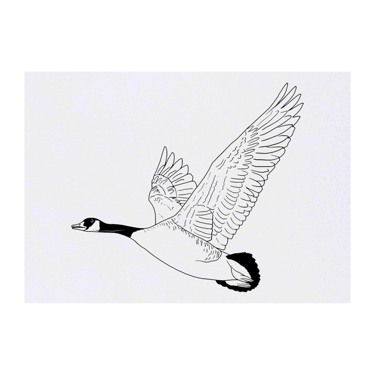 'Flying Goose' Temporary Tattoo -  Water Resistant, Skin-Safe, Non-Toxic Transfer (TO00041902)