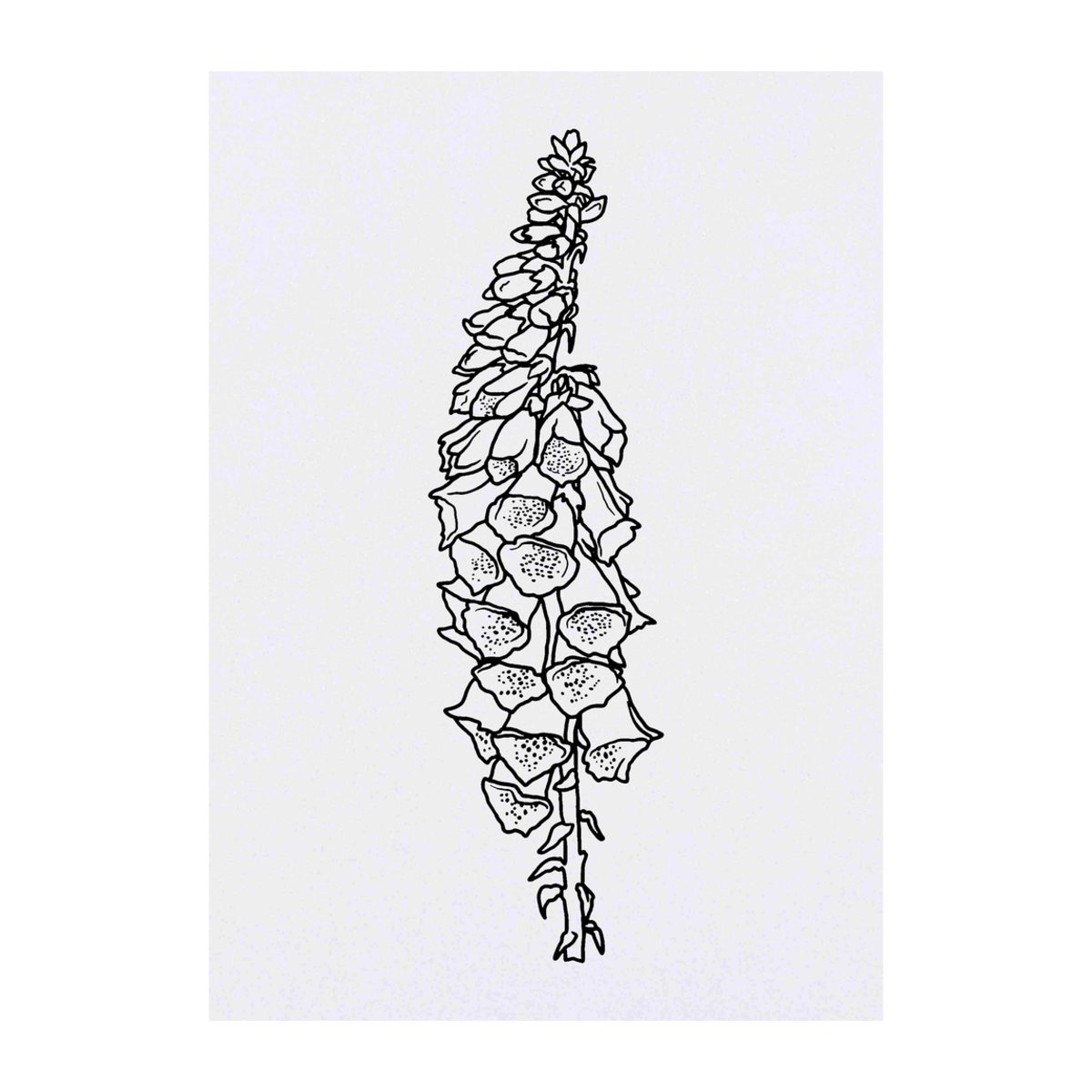 'Foxglove' Temporary Tattoo -  Water Resistant, Skin-Safe, Non-Toxic Transfer (TO00042160)