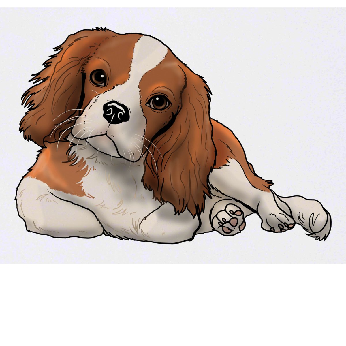 'Cavalier King Charles' Temporary Tattoo -  Water Resistant, Skin-Safe, Non-Toxic Transfer (TO00044138)