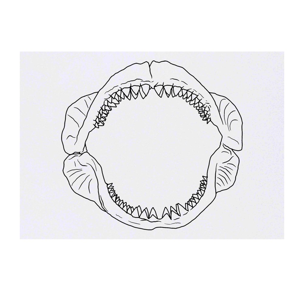 'Shark Jaws' Temporary Tattoo - Water Resistant, Skin-Safe, Non-Toxic Transfer (TO00046560)