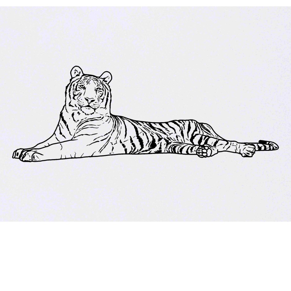 'Resting Tiger' Temporary Tattoo -  Water Resistant, Skin-Safe, Non-Toxic Transfer (TO00048942)