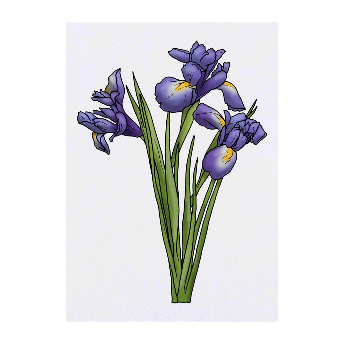'Blue Iris Flowers' Temporary Tattoo -  Water Resistant, Skin-Safe, Non-Toxic Transfer (TO00050104)