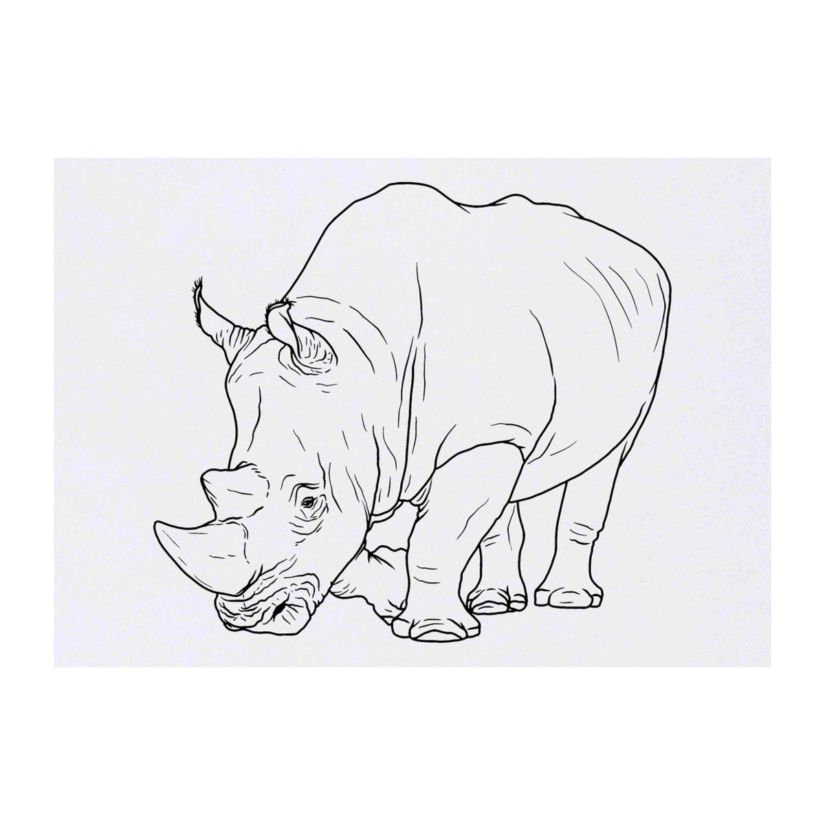 'Rhino' Temporary Tattoo - A6 - Water Resistant Skin Safe Transfer for Parties, Costumes and Gifts (TO00050510)