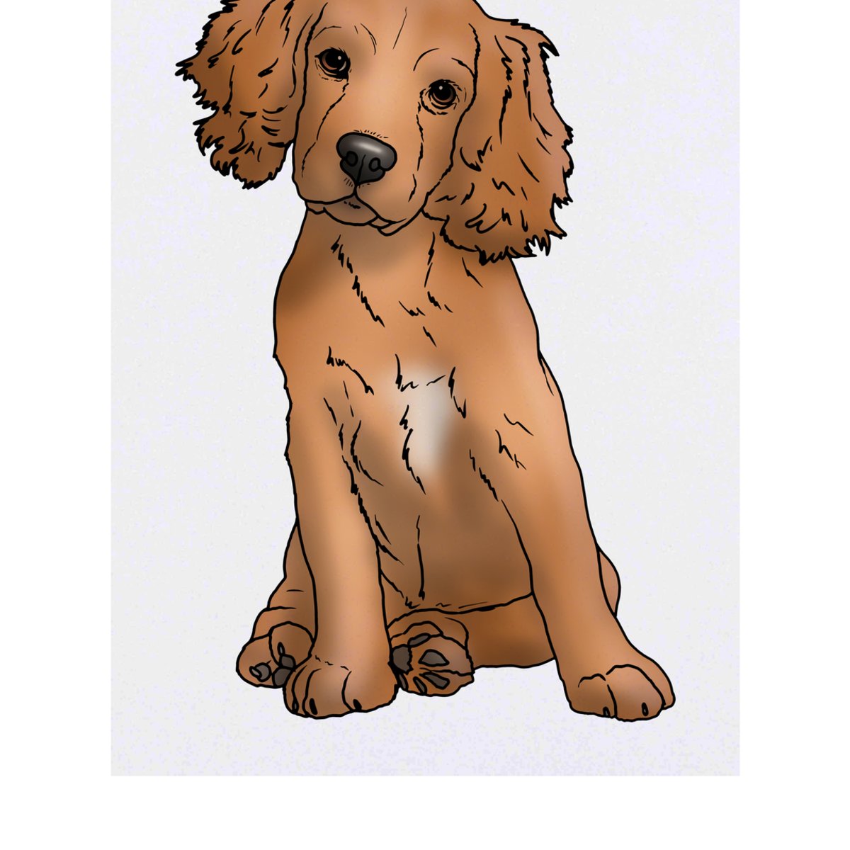 'Cocker Spaniel Puppy' Temporary Tattoo -  Water Resistant, Skin-Safe, Non-Toxic Transfer (TO00051832)