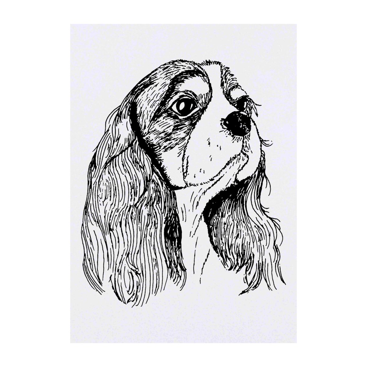 'Cavalier King Charles Head' Temporary Tattoo -  Water Resistant, Skin-Safe, Non-Toxic Transfer (TO00052314)