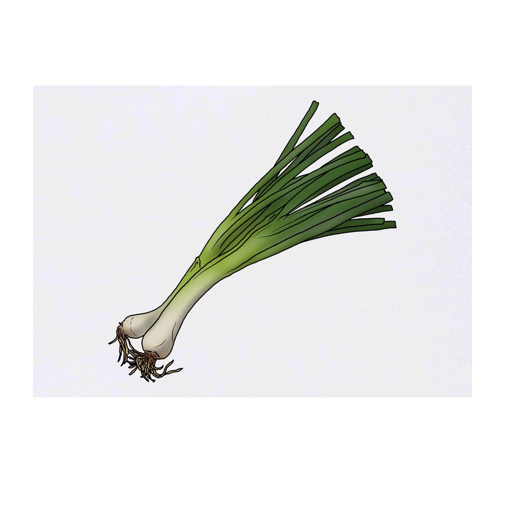 'Spring Onions' Temporary Tattoo - Water Resistant, Skin-Safe, Non-Toxic Transfer (TO00056949)