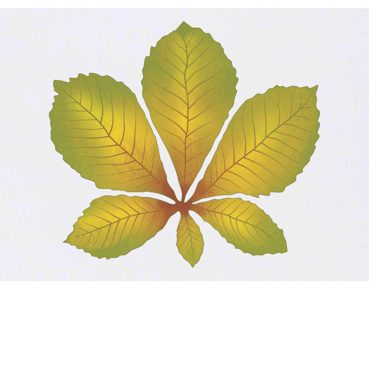 'Autumn Chestnut Leaf' Temporary Tattoo -  Water Resistant, Skin-Safe, Non-Toxic Transfer (TO00064169)